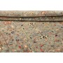Tappeto Shahi Fine Pakistan 206x292 Grigio-blu