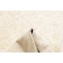 Tappeto Zigler Extra Fine Pakistan 248x293 Crem