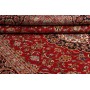 Ardakan 245x355 Cm Ardakan, Persia, Lana Cardata A Mano,