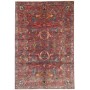 Zigler Fine 148x215 Cm Zigler Fine, Pakistan, Lana Cardata A