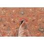 Tappeto Zigler Fine Pakistan 168x239 Terracotta