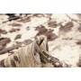 Tappeto Gabbeh Marrakech Pakistan 263x359 Crema