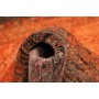 Tappeto Royal Gabbeh Pakistan 79x247 Terracotta
