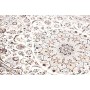 Nain 9la 104x153 Cm Nain 9la, Persia, Lana Cardata A Mano E