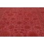 Tappeto Zigler Fine Pakistan 251x306 Rosso Porp