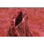 Tappeto Zigler Fine Pakistan 249x339 Rosso Scur