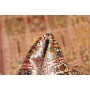 Tappeto Ghom Seta Persia 62x204 Rosso Terracott