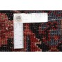 Gorawan 244x308 Cm Gorawan, Persia, Lana Cardata A Mano,