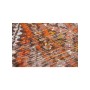 tappeto moderno Louis De Poortere Antiquarian Riad Orange 9111